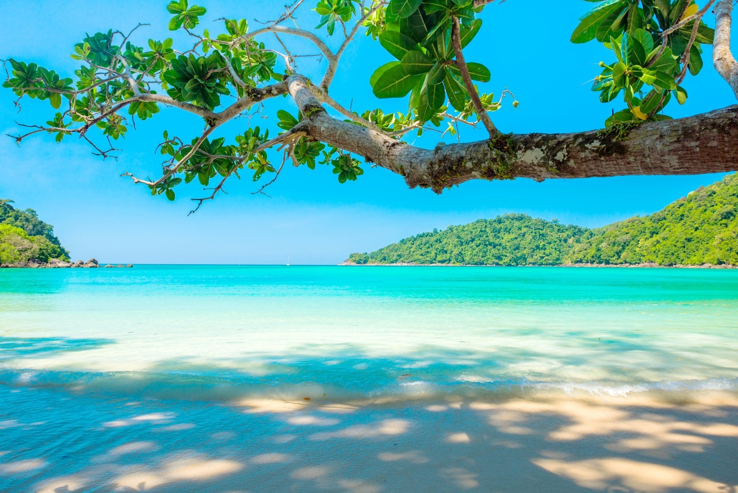 Why Our Location Offers The Best Views